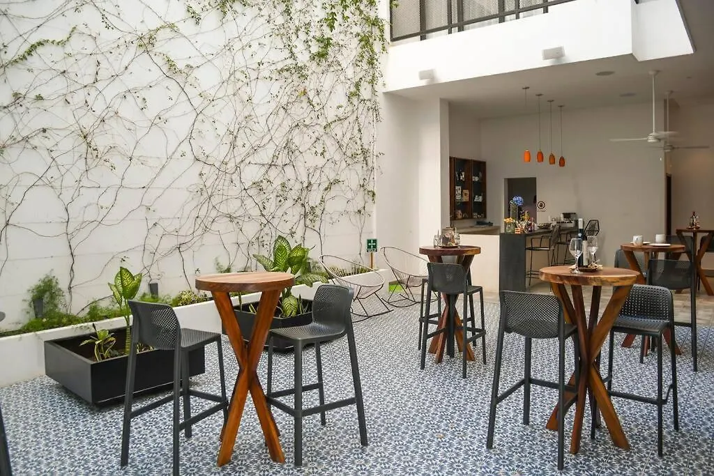 Espectacular Quinta Avenida Apartment Playa del Carmen